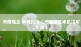 天猫魔盒 手机投屏（天猫魔盒手机投屏步骤）