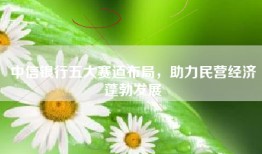中信银行五大赛道布局，助力民营经济蓬勃发展