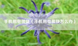 手机用电很快（手机用电很快怎么办）