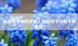 玩游戏不卡的手机（玩游戏不卡的手机便宜）