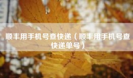 顺丰用手机号查快递（顺丰用手机号查快递单号）