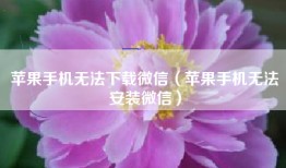 苹果手机无法下载微信（苹果手机无法安装微信）