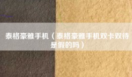 泰格豪雅手机（泰格豪雅手机双卡双待是假的吗）