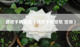 路虎手机壁纸（路虎手机壁纸 竖屏）