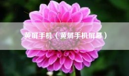 黄屏手机（黄屏手机屏幕）