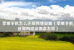 苹果手机怎么还原网络设置（苹果手机还原网络设置会怎样）