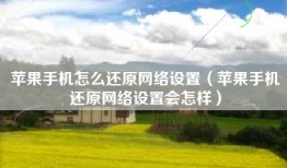 苹果手机怎么还原网络设置（苹果手机还原网络设置会怎样）