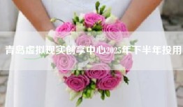 青岛虚拟现实创享中心2025年下半年投用