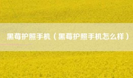 黑莓护照手机（黑莓护照手机怎么样）