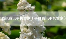 腾讯腾讯手机管家（手机腾讯手机管家）