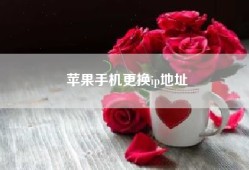 苹果手机更换ip地址