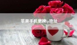 苹果手机更换ip地址