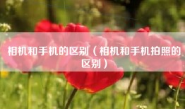 相机和手机的区别（相机和手机拍照的区别）