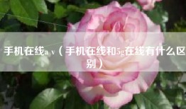手机在线a v（手机在线和5g在线有什么区别）