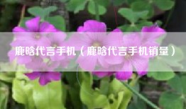 鹿晗代言手机（鹿晗代言手机销量）