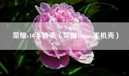 荣耀v10手机壳（荣耀10max手机壳）