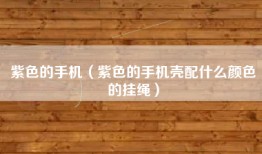 紫色的手机（紫色的手机壳配什么颜色的挂绳）