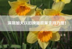 深圳加大以旧换新政策支持力度！