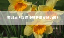 深圳加大以旧换新政策支持力度！