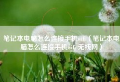 笔记本电脑怎么连接手机wifi（笔记本电脑怎么连接手机wifi 无线网）