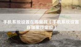 手机系统设置在哪里找（手机系统设置在哪里找定位）