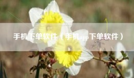 手机下单软件（手机app下单软件）