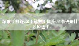 苹果手机连wifi（苹果手机连wifi卡顿是什么原因）