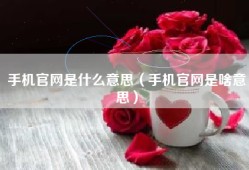 手机官网是什么意思（手机官网是啥意思）