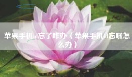 苹果手机id忘了咋办（苹果手机id忘啦怎么办）