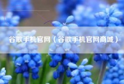 谷歌手机官网（谷歌手机官网商城）