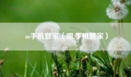 m手机管家（嗯,手机管家）
