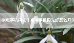 来电手机闪光（来电手机闪光灯怎么开）