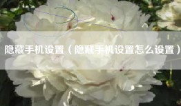 隐藏手机设置（隐藏手机设置怎么设置）