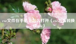 exe文件在手机上怎么打开（exe怎么转换成apk）