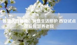 智慧入住管理、智慧生活照护 西安试点建设智慧养老院
