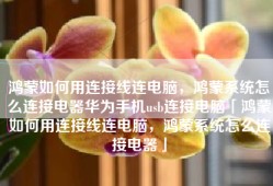 鸿蒙如何用连接线连电脑，鸿蒙系统怎么连接电器华为手机usb连接电脑「鸿蒙如何用连接线连电脑，鸿蒙系统怎么连接电器」