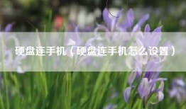 硬盘连手机（硬盘连手机怎么设置）