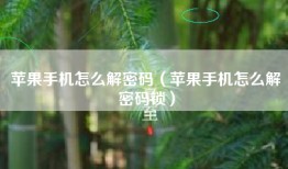 苹果手机怎么解密码（苹果手机怎么解密码锁）