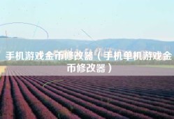 手机游戏金币修改器（手机单机游戏金币修改器）
