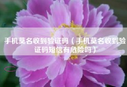 手机莫名收到验证码（手机莫名收到验证码短信有危险吗）