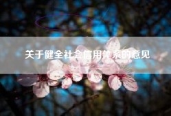 关于健全社会信用体系的意见