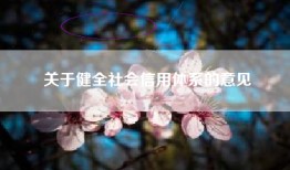 关于健全社会信用体系的意见