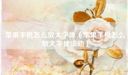 苹果手机怎么放大字体（苹果手机怎么放大字体滚动）