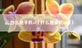 什么是手机id（什么是手机id锁）