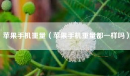 苹果手机重量（苹果手机重量都一样吗）