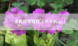 手机自学软件（学手机app）