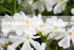 拼多多标题怎么写吸引人？怎么优化拼多多标题？