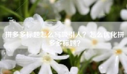 拼多多标题怎么写吸引人？怎么优化拼多多标题？
