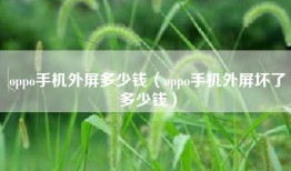 oppo手机外屏多少钱（oppo手机外屏坏了多少钱）