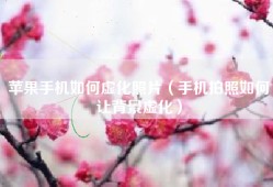 苹果手机如何虚化照片（手机拍照如何让背景虚化）